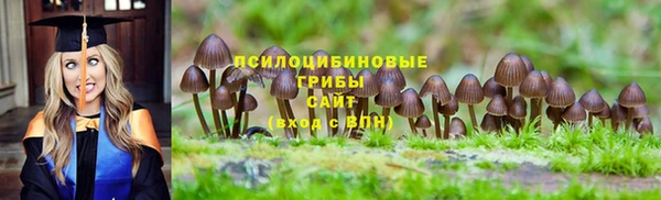 соль ск Инсар
