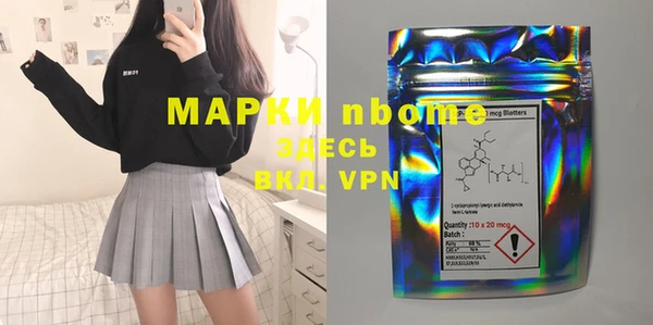 соль ск Инсар