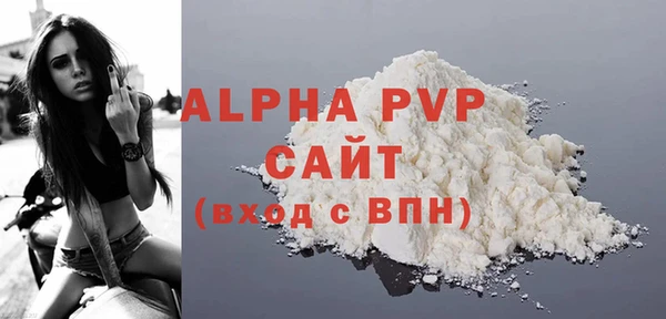 соль ск Инсар