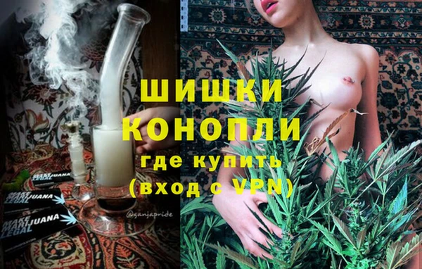 дурь Инта