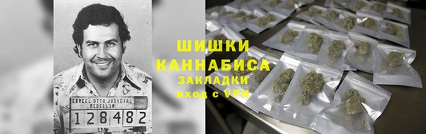 соль ск Инсар