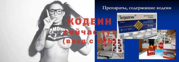 дурь Инта