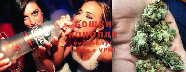 соль ск Инсар