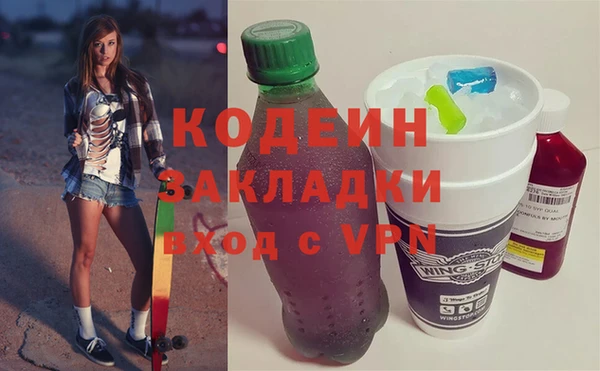 соль ск Инсар
