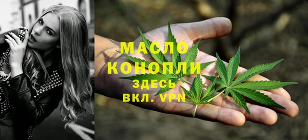 соль ск Инсар