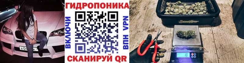 Каннабис планчик Мамадыш